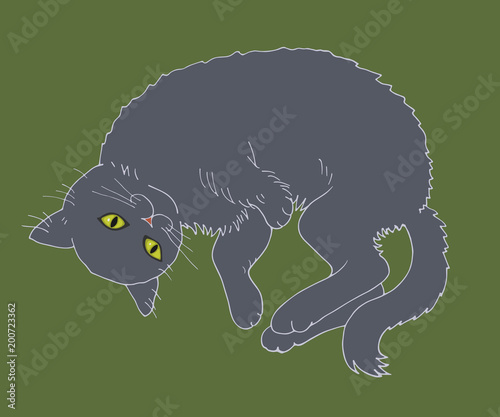 a resting gray cat on a green background