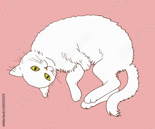 a resting white cat on a pink background