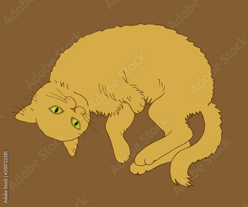 a resting yellow cat on a brown background