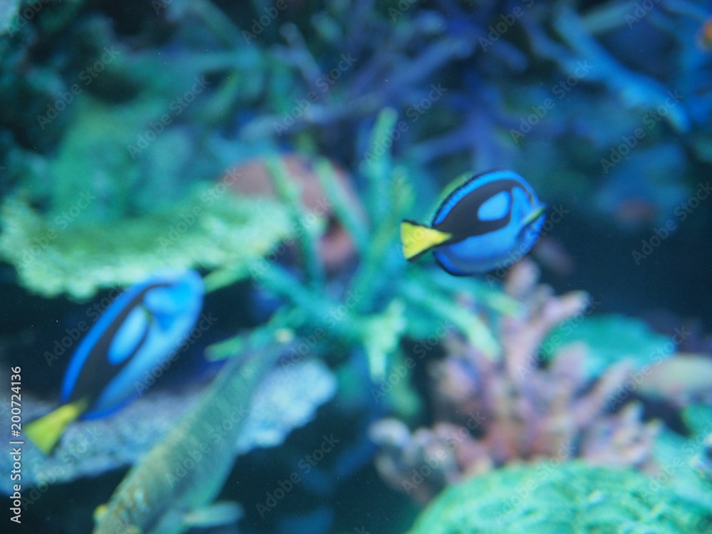 水族館 水族館
