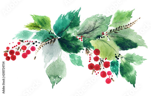 Holly berry leaves and berries