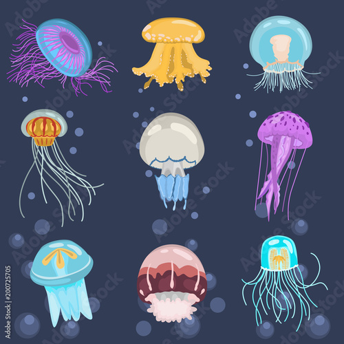 Set of different color flat jellyfish icons