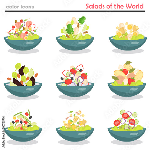 Set of plates with various world cuisine salads color flat icons