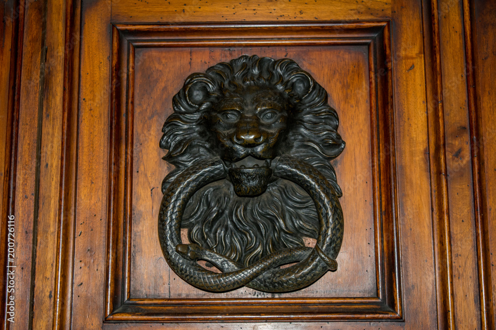 Horizontal Wiev of an old Steel Clapper on a Wooden Door With a Lion and a Snake. Rome, Italy