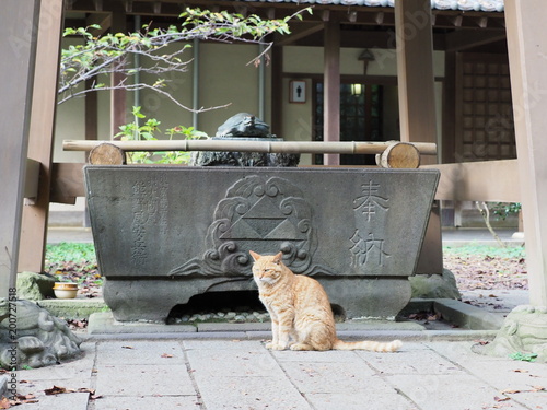江ノ島