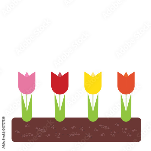 Spring flowerbed with colorful tulips and green leaves in soil, with space for your text