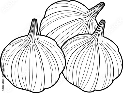 Group of Garlic bulbs on white background