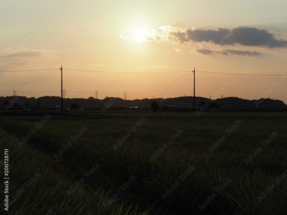 田 田