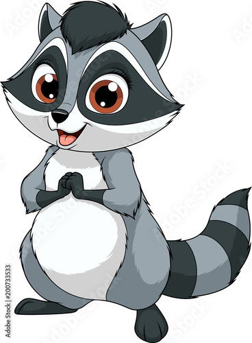 Funny little raccoon