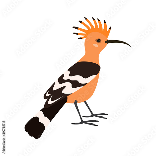 Cartoon hoopoe icon on white background.