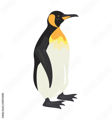 Cartoon penguin icon on white background.