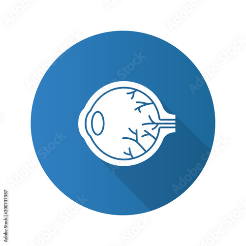 Eye anatomy flat design long shadow glyph icon
