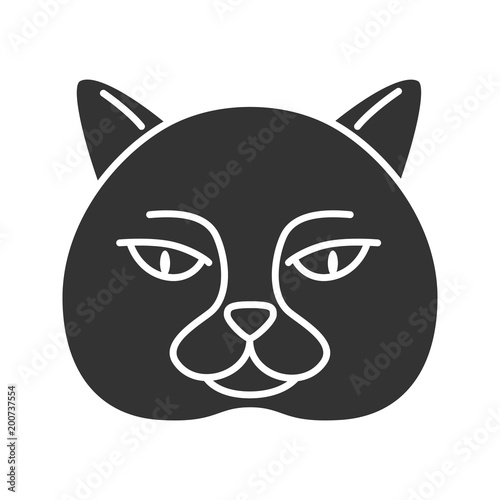 British shorthair cat glyph icon