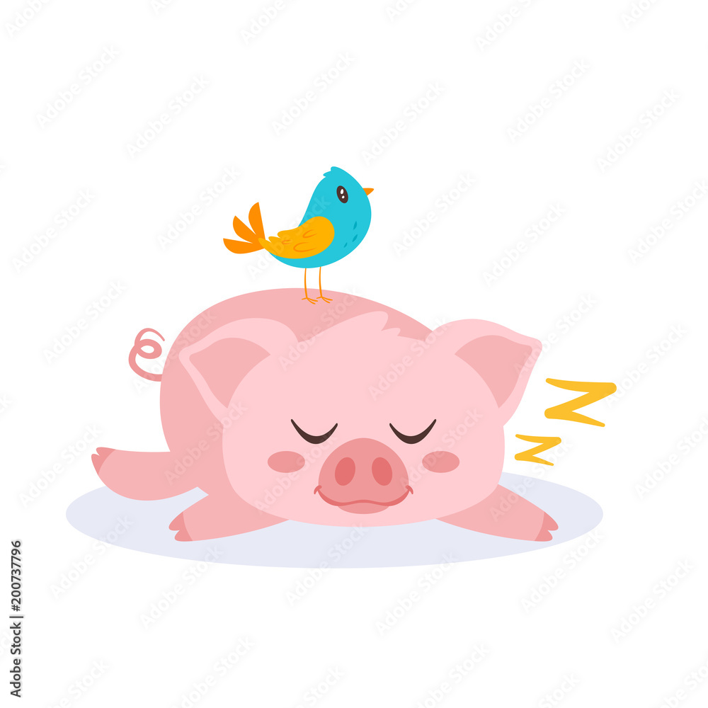 Fototapeta premium sleeping pink pig