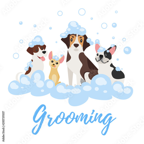 dogs  in soap foam