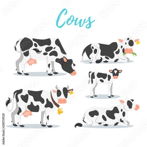 set of cows