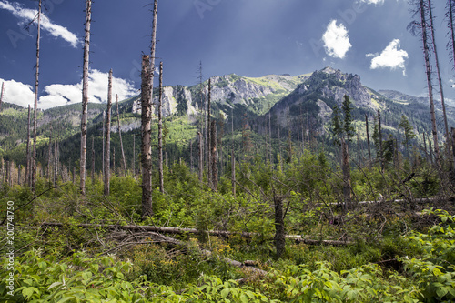 Tatra mountains in Poland