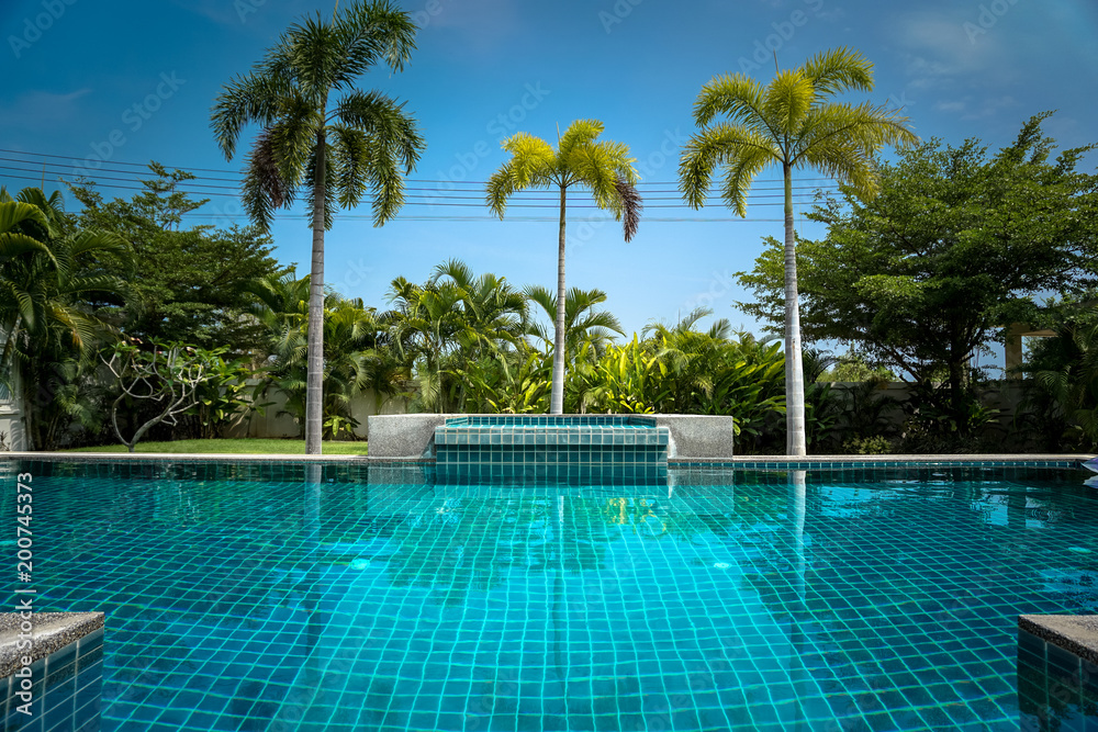 Swimming pool with palm trees. 