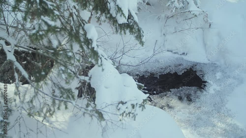 Thermal springs on the background of winter Thermal springs on the background of winter