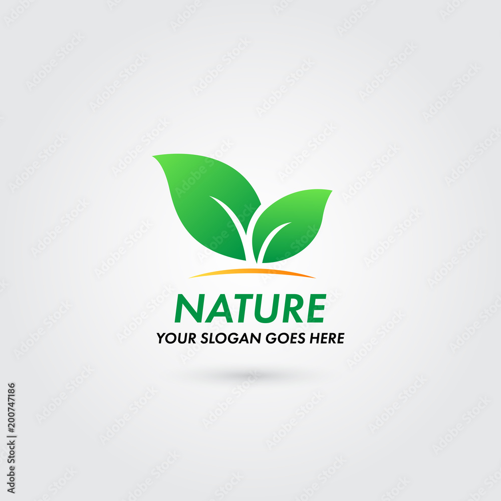 Logo Nature Leaf Concept Template