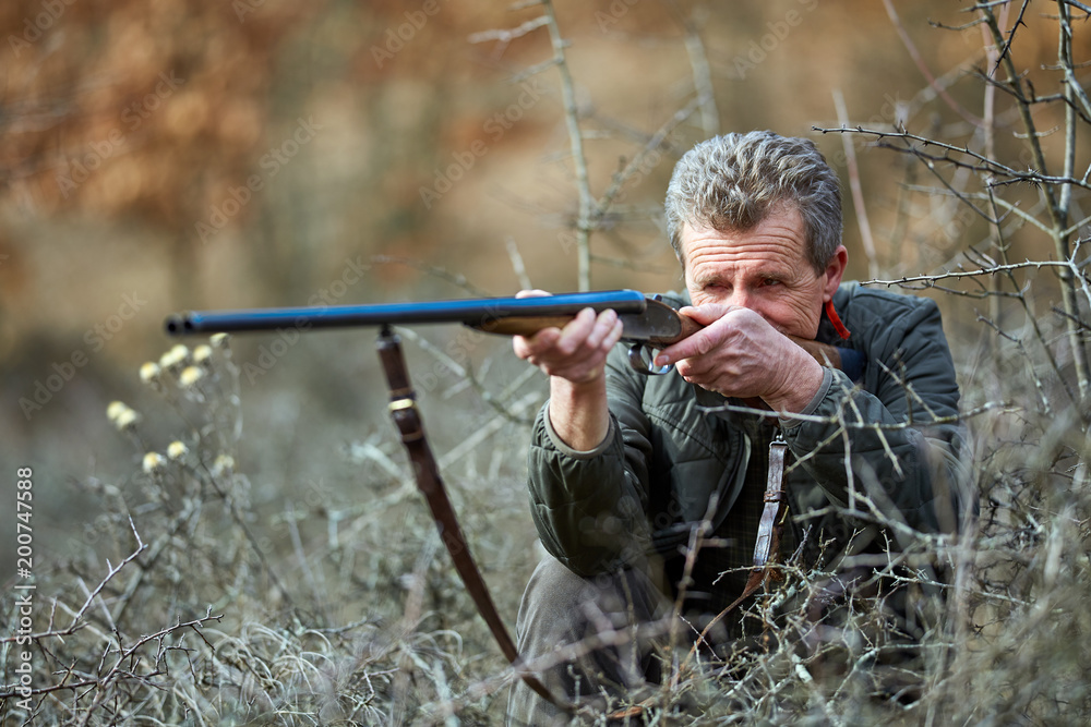 Fototapeta premium Hunter with gun in the forest