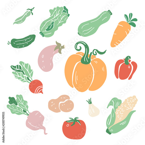 Hand drawn colorful doodle vegetables. Sketch style vector collection. Vegetables flat icons set: cucumber, carrot, onion, tomato, radish, pepper, potato, peas, corn, pumpkin, salad. 