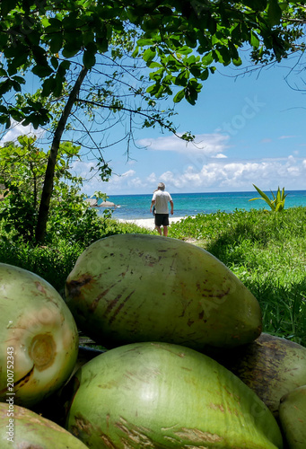 Seychellen - Kokosnüsse und Strand