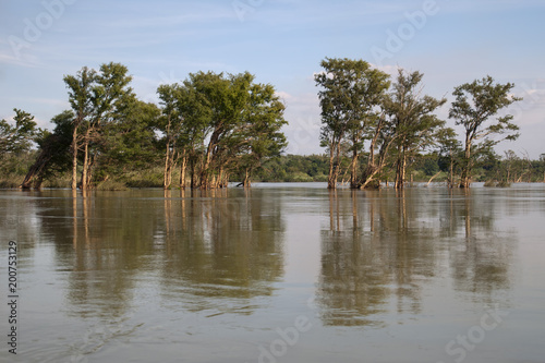 Stung Treng Cambodia, tranquil scene of the flooded forest with reflection in the Mekong river between Stung Treng and the Lao border in dry season photo