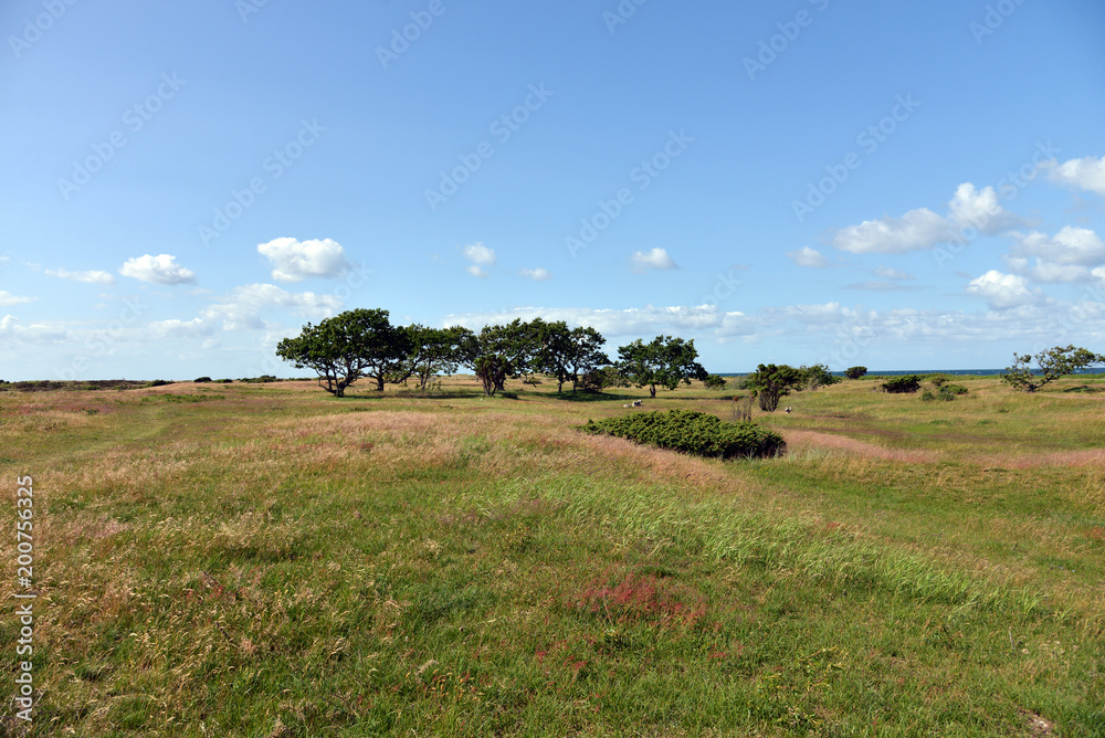Obraz premium beach in Denmark