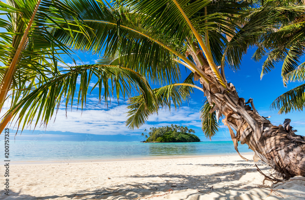 Naklejka premium Piękna tropikalna plaża na egzotycznej wyspie na Pacyfiku