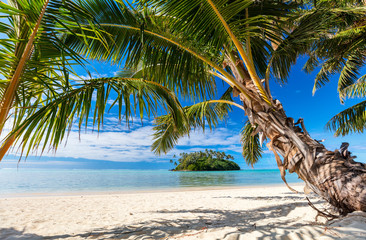 Acrylglasbilder Tropischer Strand Pazifikinsel mit weißem Sandstrand  © TravelPhotoBloggers