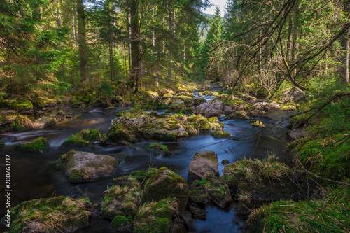 Some stream in the Black Forest  Germany  2018  Schwarzwald