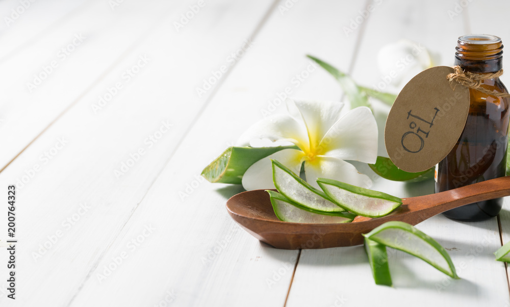 Fototapeta premium aloe vera