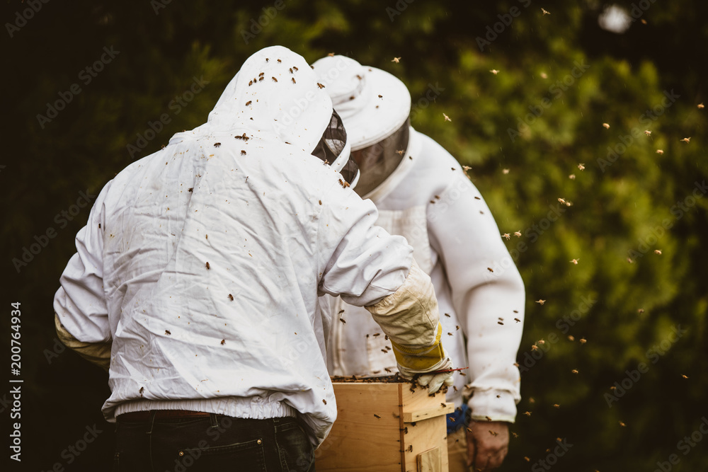 beekeepers