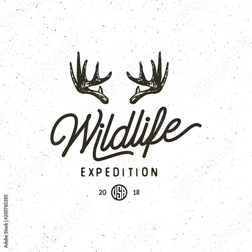 vintage wilderness logo. hand drawn retro styled outdoor adventure emblem. vector illustration