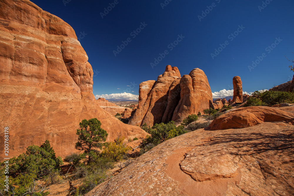 Fototapeta premium Delicate arch in Arches National Park in Utah, USA