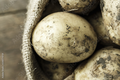 young potato in a burlap sack