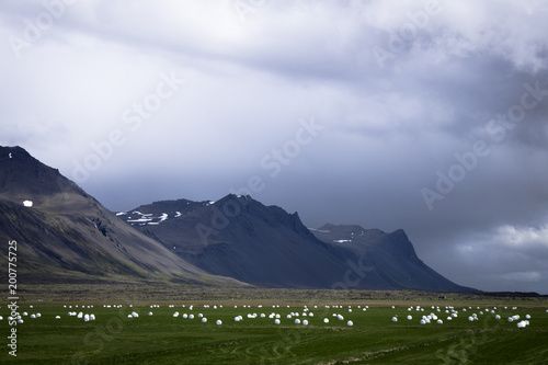 Iceland Farms