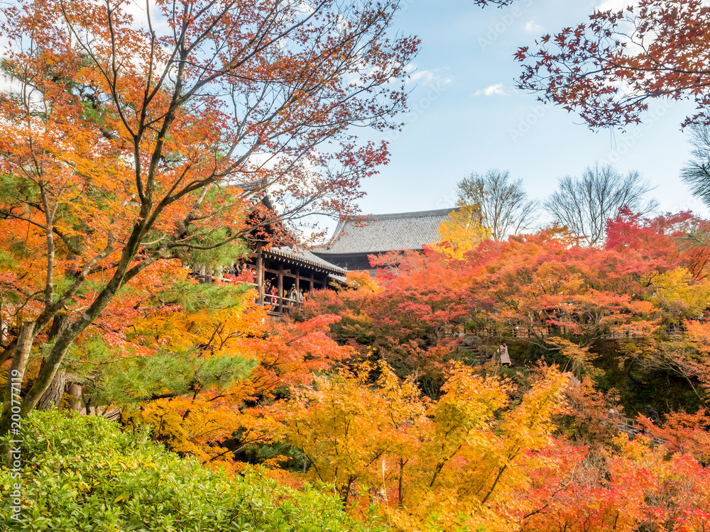 Colorful leaves with Japanese pavilion