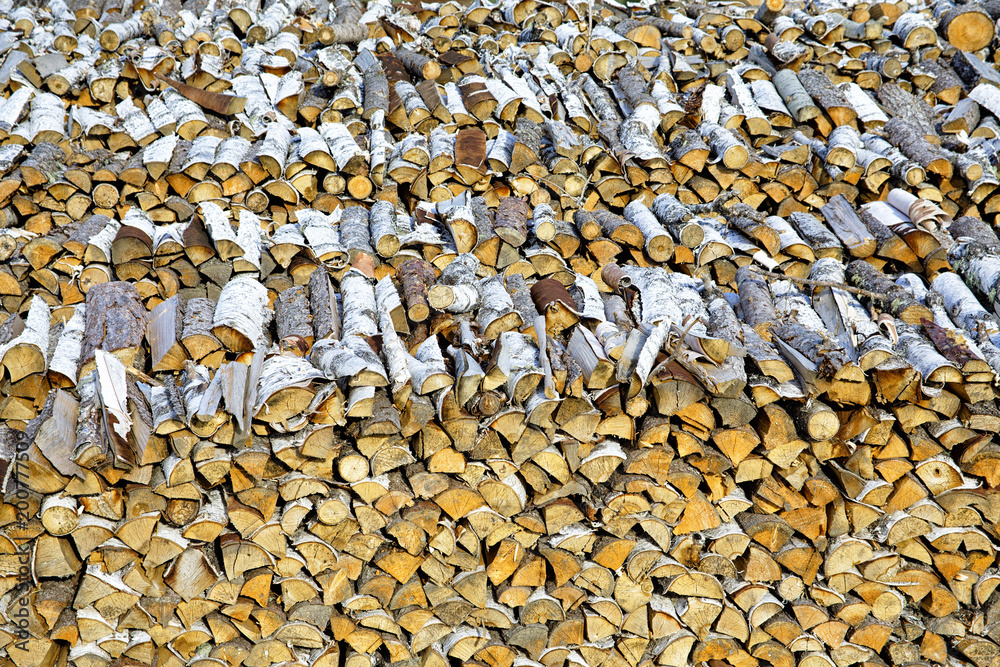 Large woodpile of birch firewood