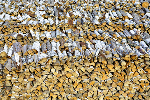 Obraz na płótnie Large woodpile of birch firewood w salonie