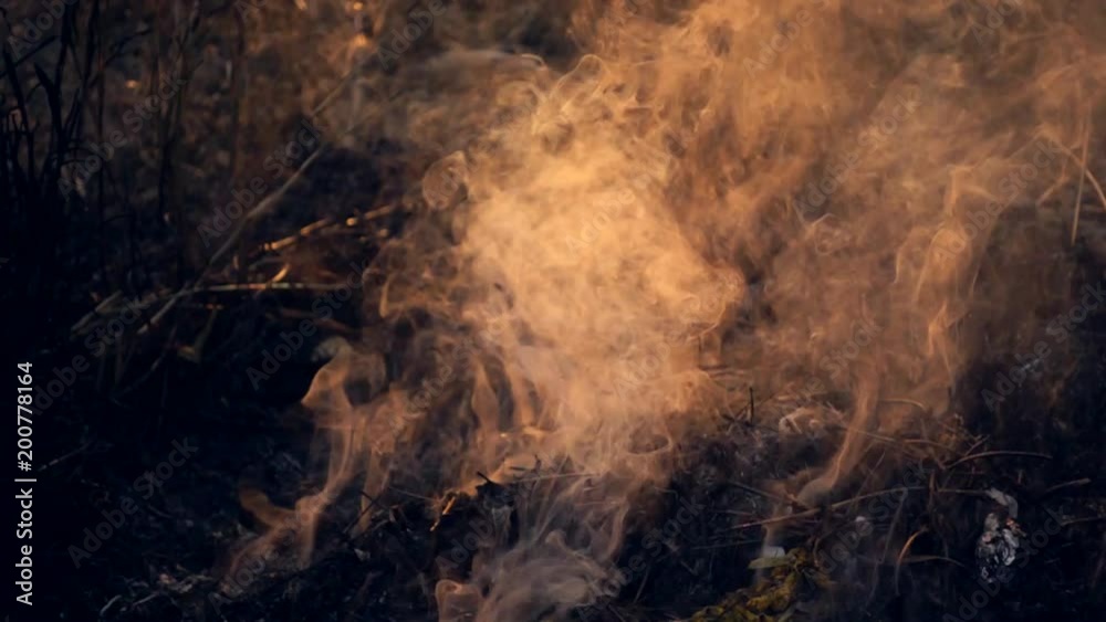 smoke with sunset in slow motion - closeup smoke with sunset in slow motion - closeup