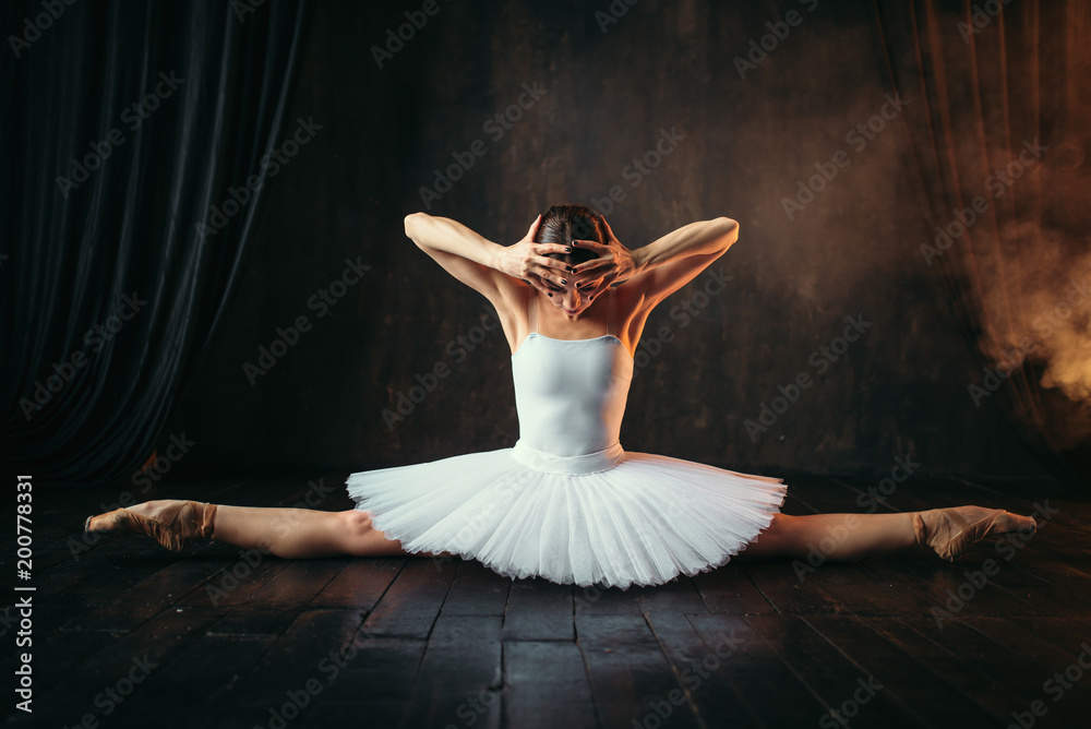 Fototapeta premium Body flexibility of ballet performer, stretching