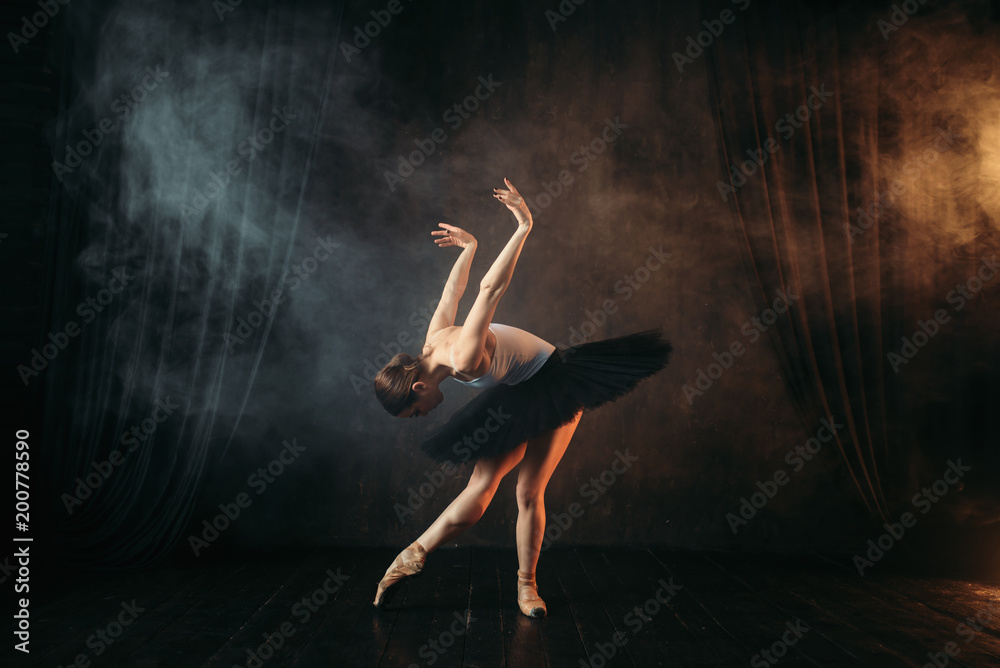Naklejka premium Baleriny Elegance w akcji na scenie teatralnej