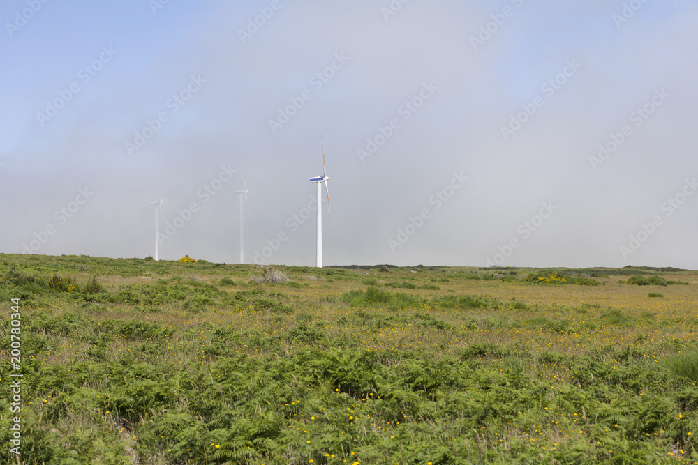 Windmills. Paul da Serra. Madeira. Windmills. Paul da Serra. Madeira.