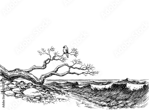 Sea shore vector. Wild beach, sea waves and a bird resting on a tree branch