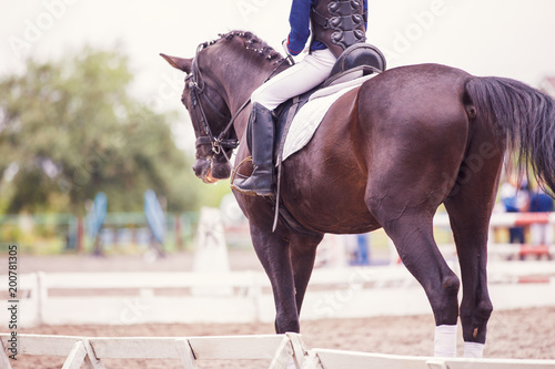 Young girl in safety or crash vest riding horse on dressage competition. Concept image of safe equestrian sport