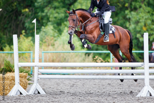 Young rider girl jumping on horse over obstacle on show jumping competition