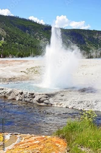 A small geyser in Yellowstone.