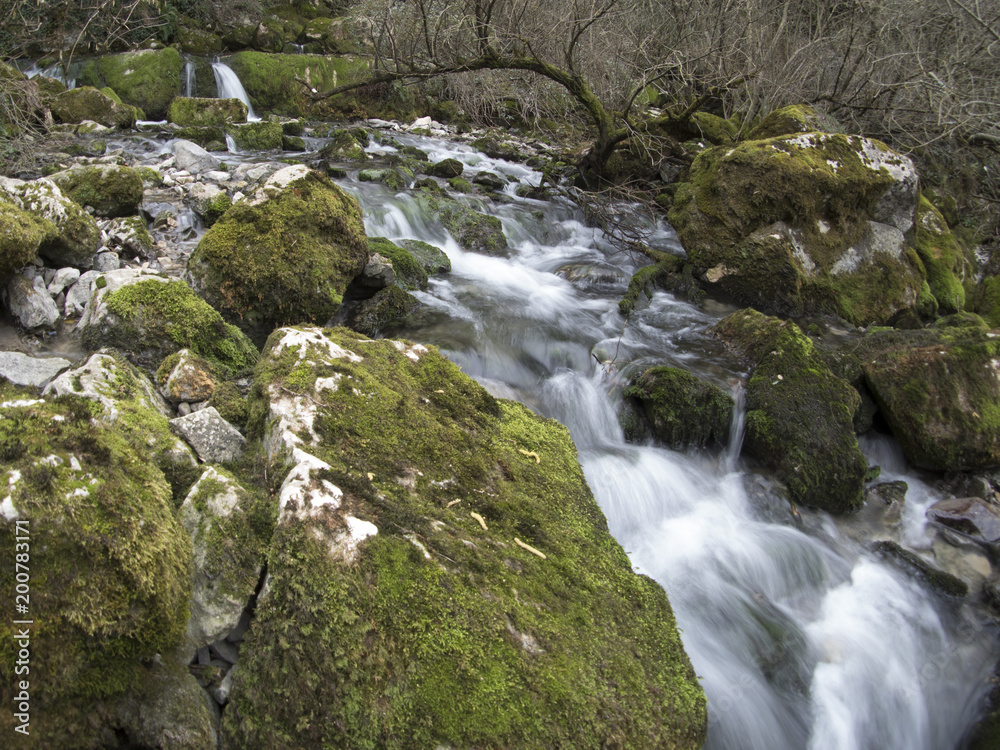 Obraz premium river with stones and moss